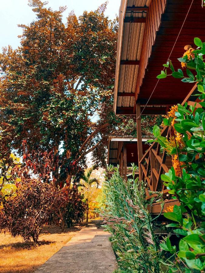 Mana Kai Camping & Cabins 圣伊格纳西奥 外观 照片